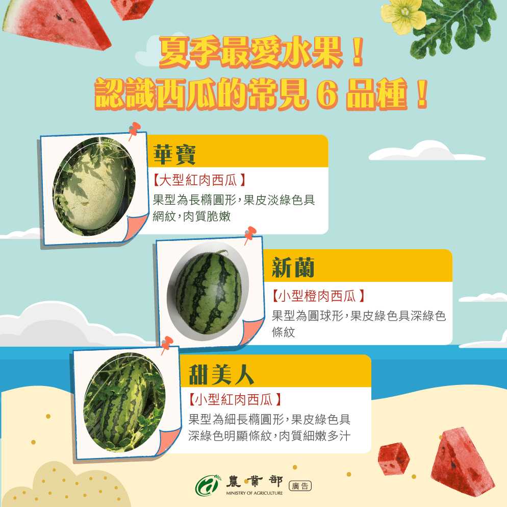 夏季最愛水果！認識西瓜的常見6品種