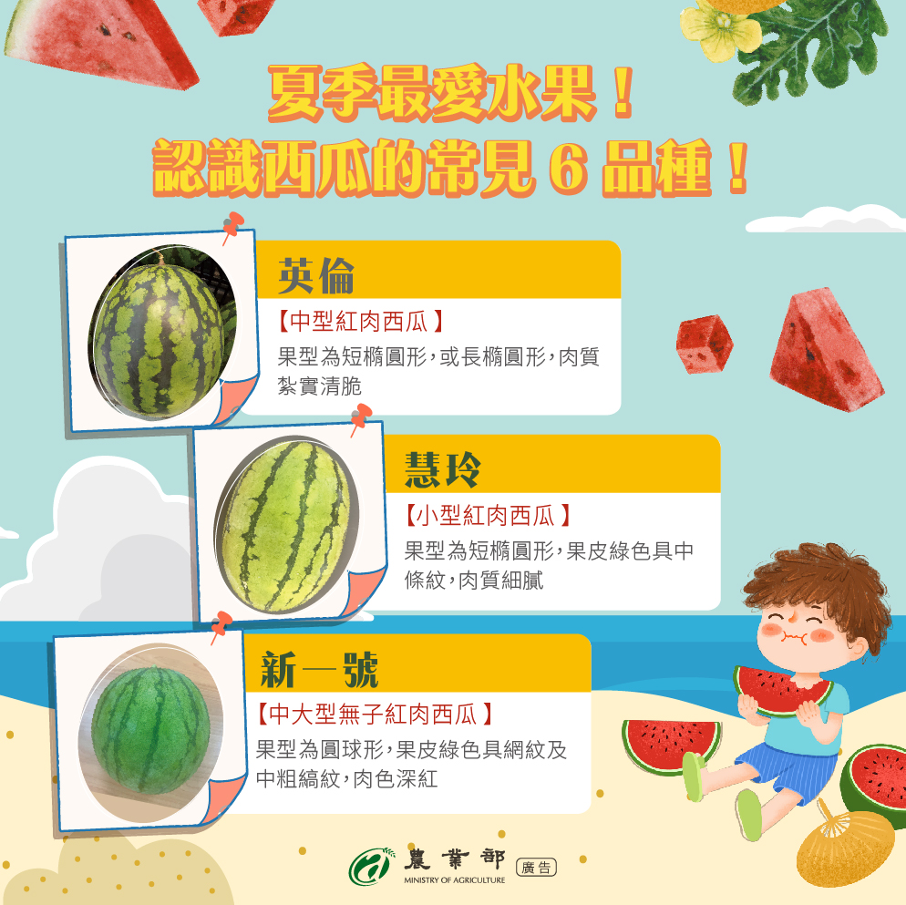 夏季最愛水果！認識西瓜的常見6品種