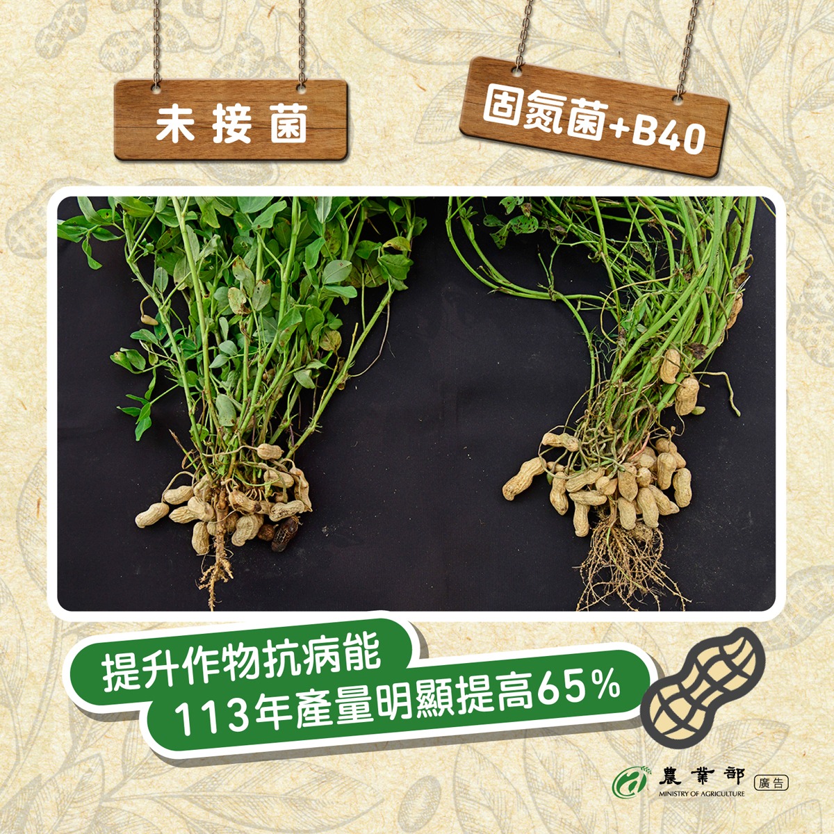 有好土 才有好土豆！_2