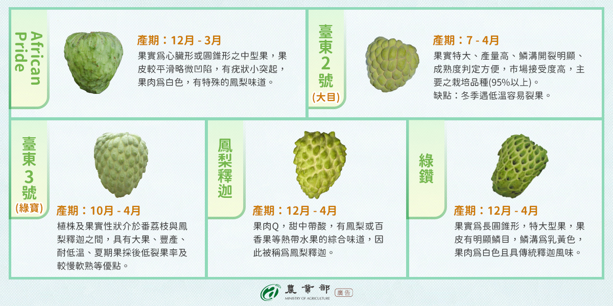 2_釋迦品種大比拼