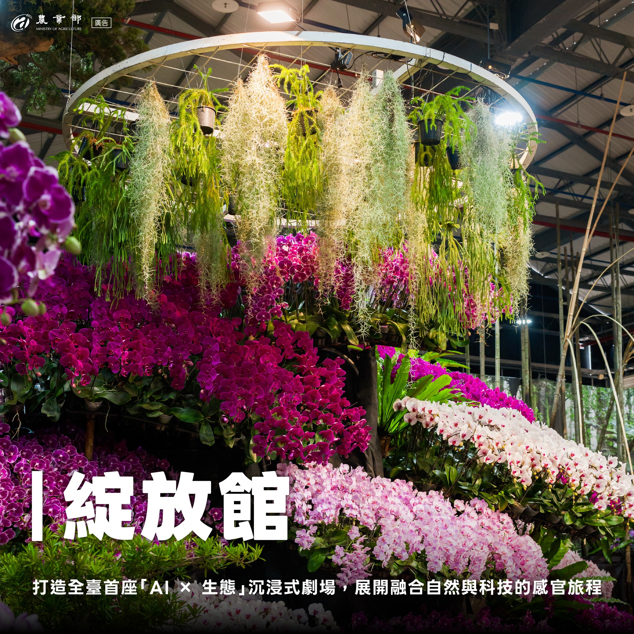 2026臺灣國際蘭展暨花卉科技展，亮點搶先看！02
