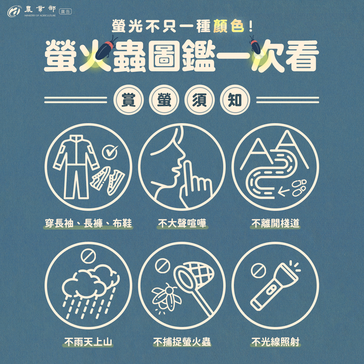 螢光不只一種顏色！螢火蟲圖鑑一次看