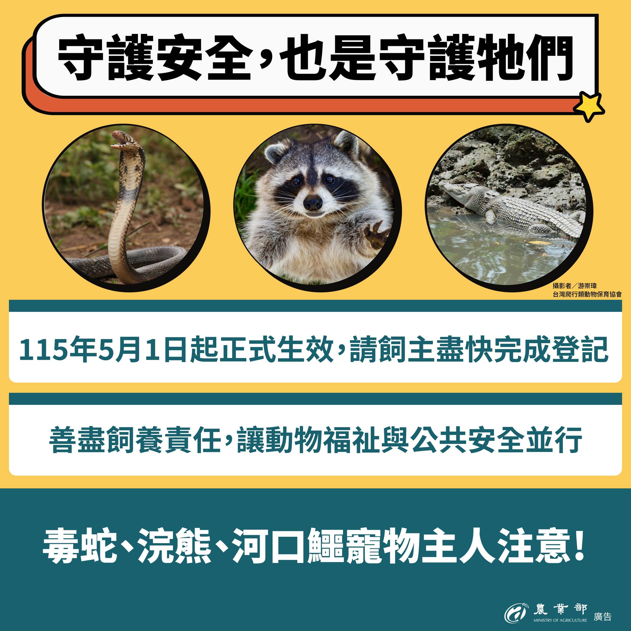 守護動物福利，也守護公共安全！從0501起，禁止家庭飼養三大類動物，毒蛇、浣熊、河口鱷。10