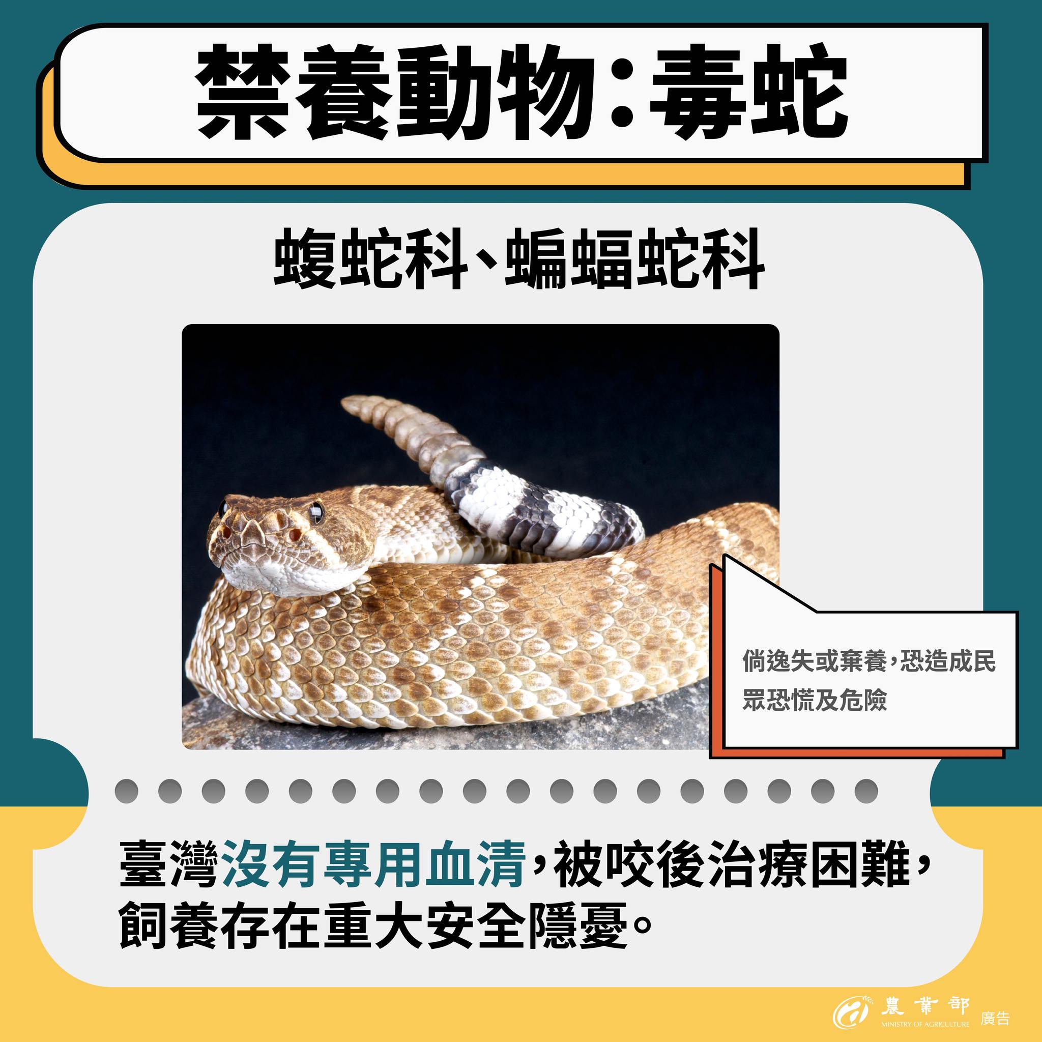 守護動物福利，也守護公共安全！從0501起，禁止家庭飼養三大類動物，毒蛇、浣熊、河口鱷。03