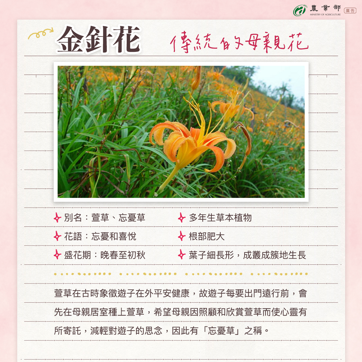 祝全天下的媽媽母親節快樂02