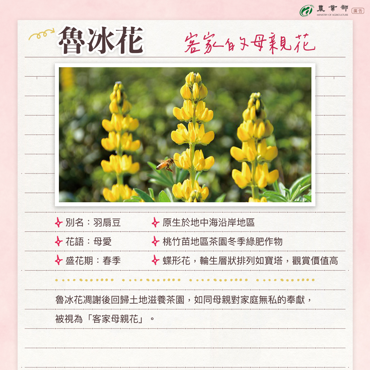 祝全天下的媽媽母親節快樂03