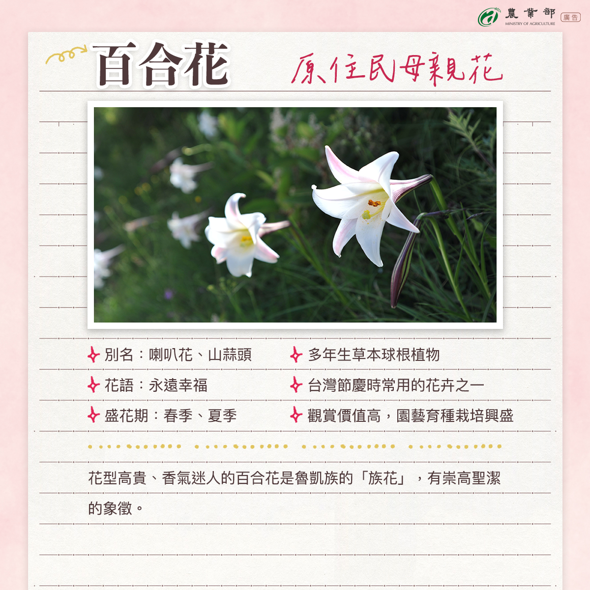 祝全天下的媽媽母親節快樂04