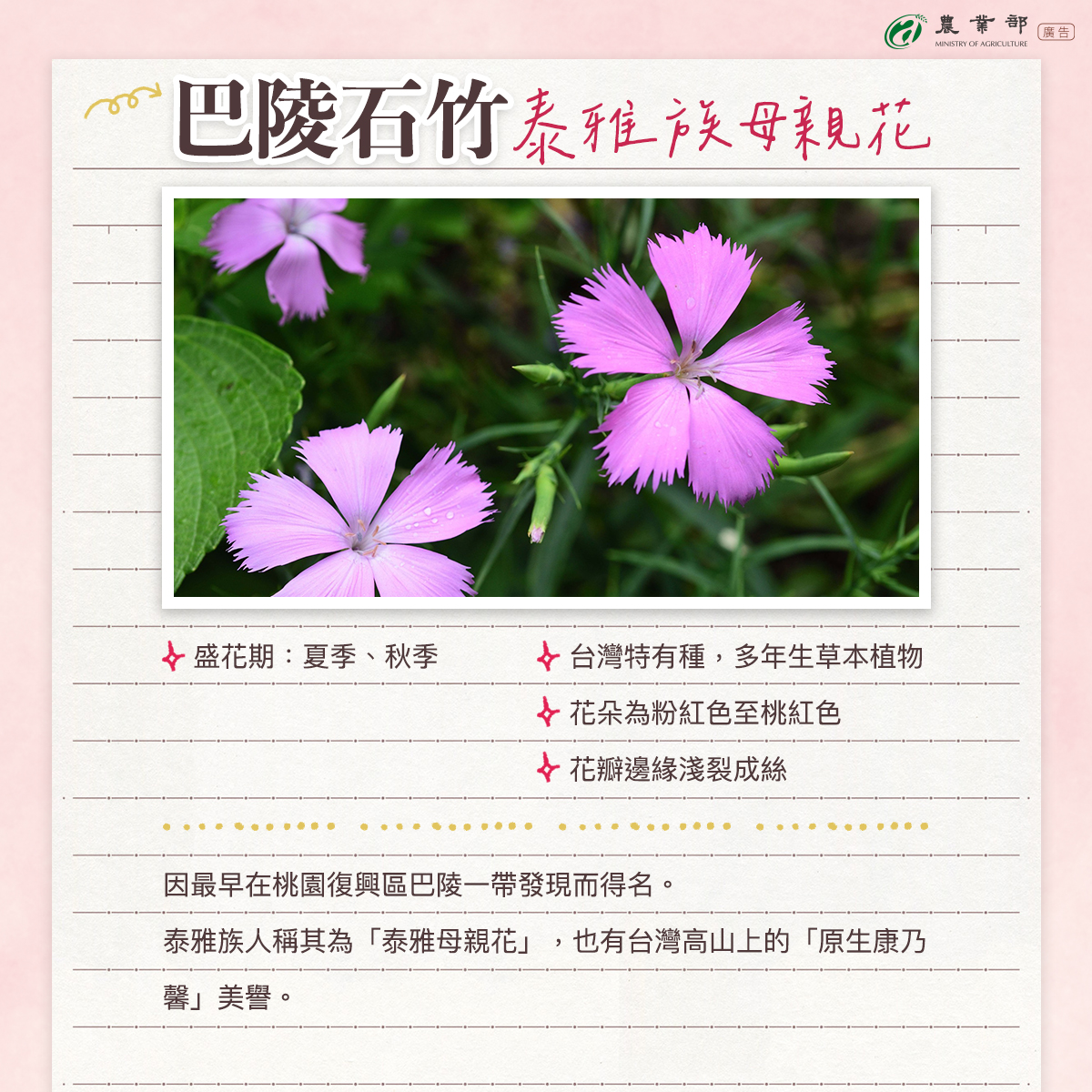 祝全天下的媽媽母親節快樂05