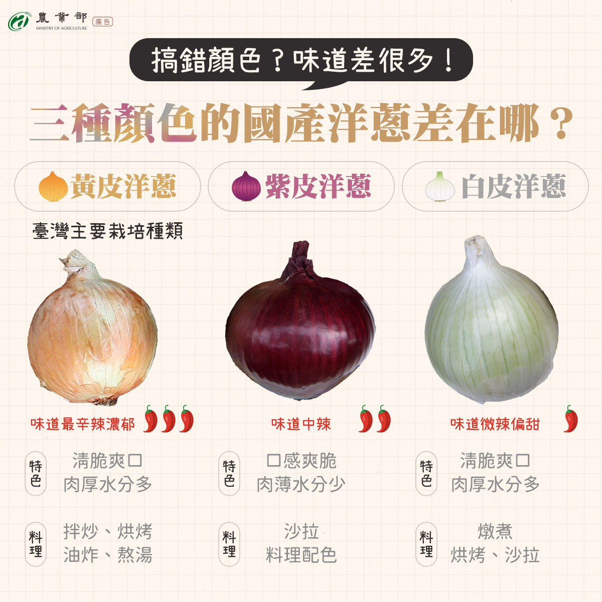 每年春夏交替時期，正是南部洋蔥的盛產期！