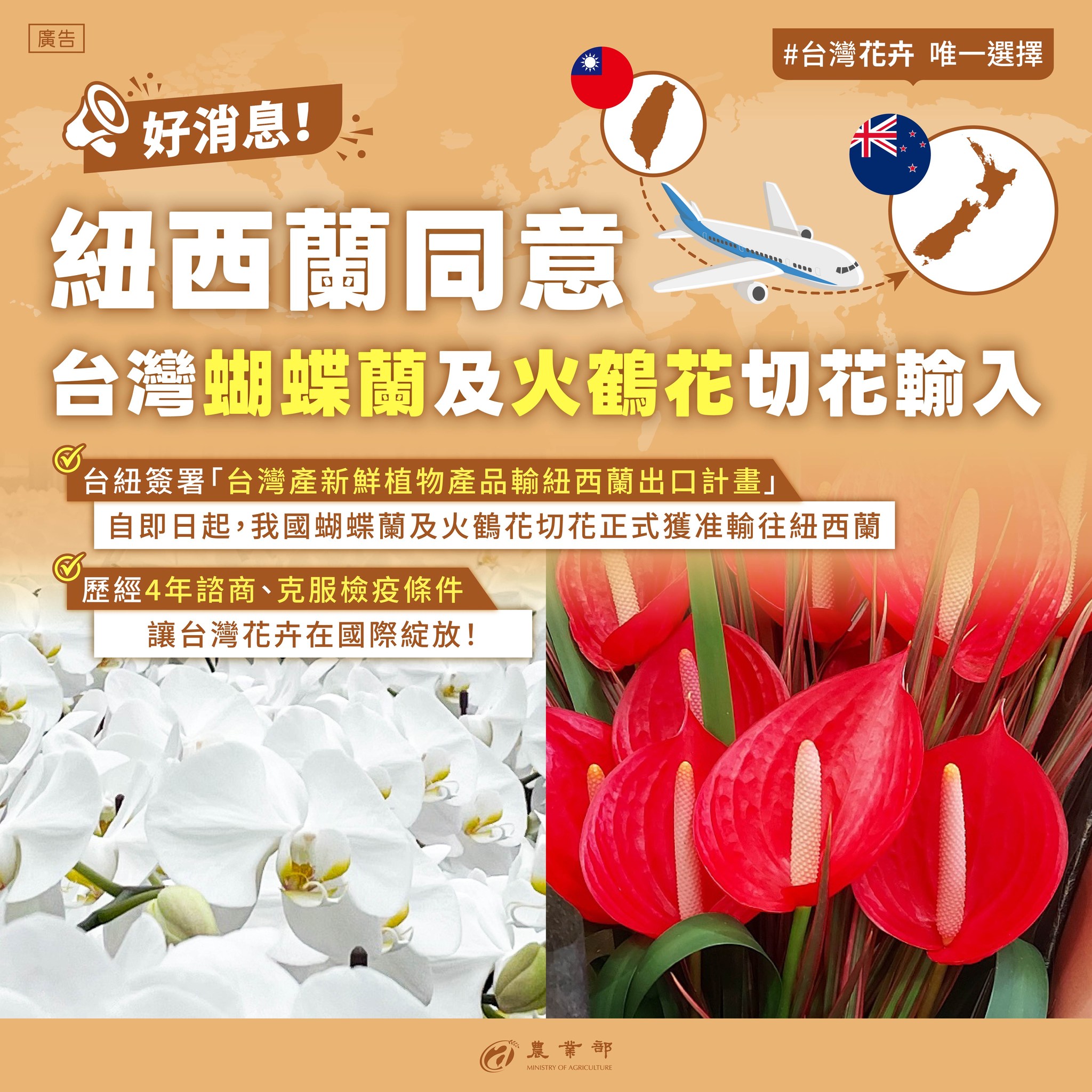 外銷好消息一直來！紐西蘭同意台灣蝴蝶蘭和火鶴花切花輸往紐西蘭！