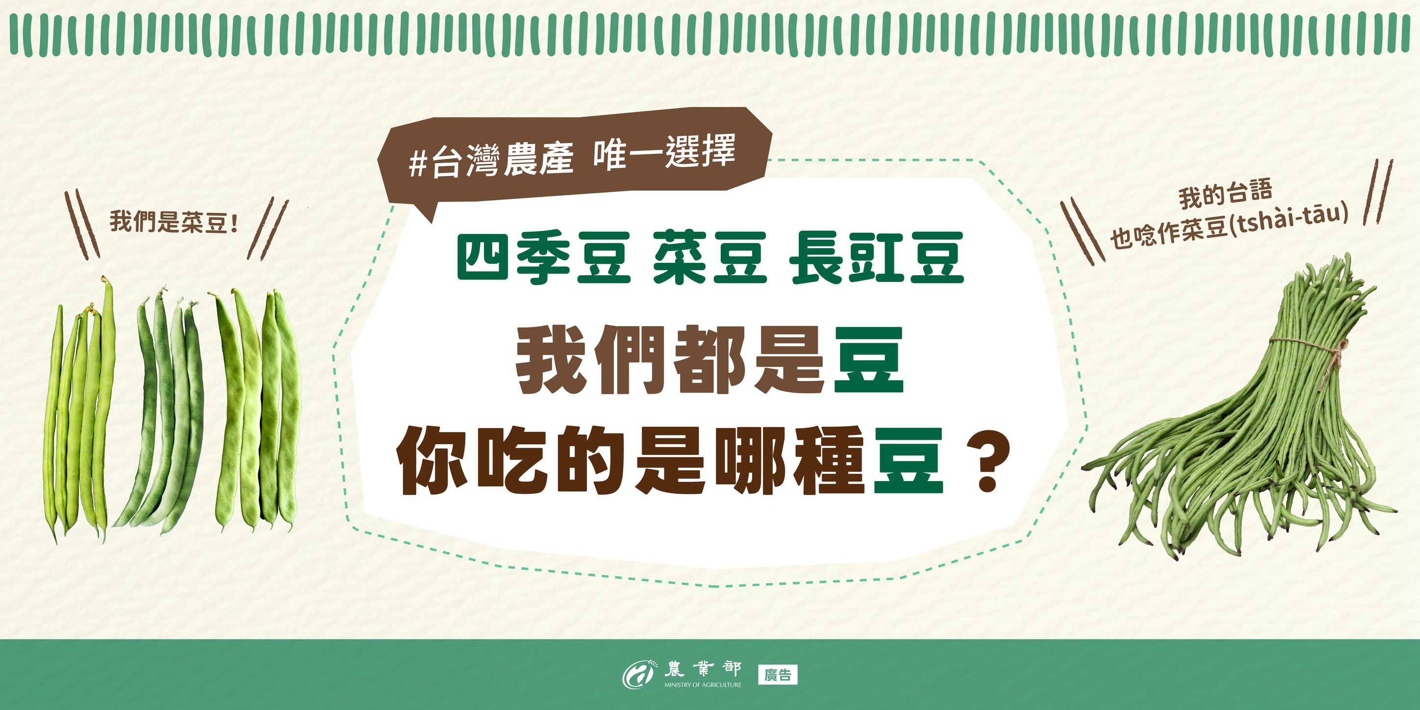 四季豆、菜豆還是長豇豆？你吃的是哪種豆？去菜市場不會再搞錯了！