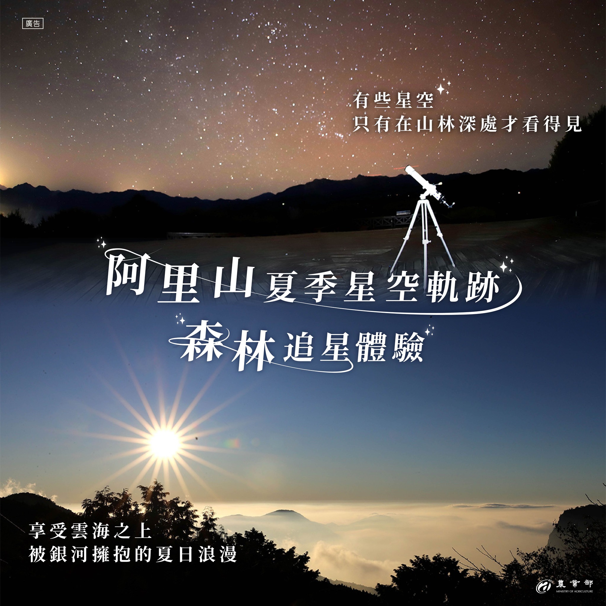 有些星空，只有在森林深處才看得見。