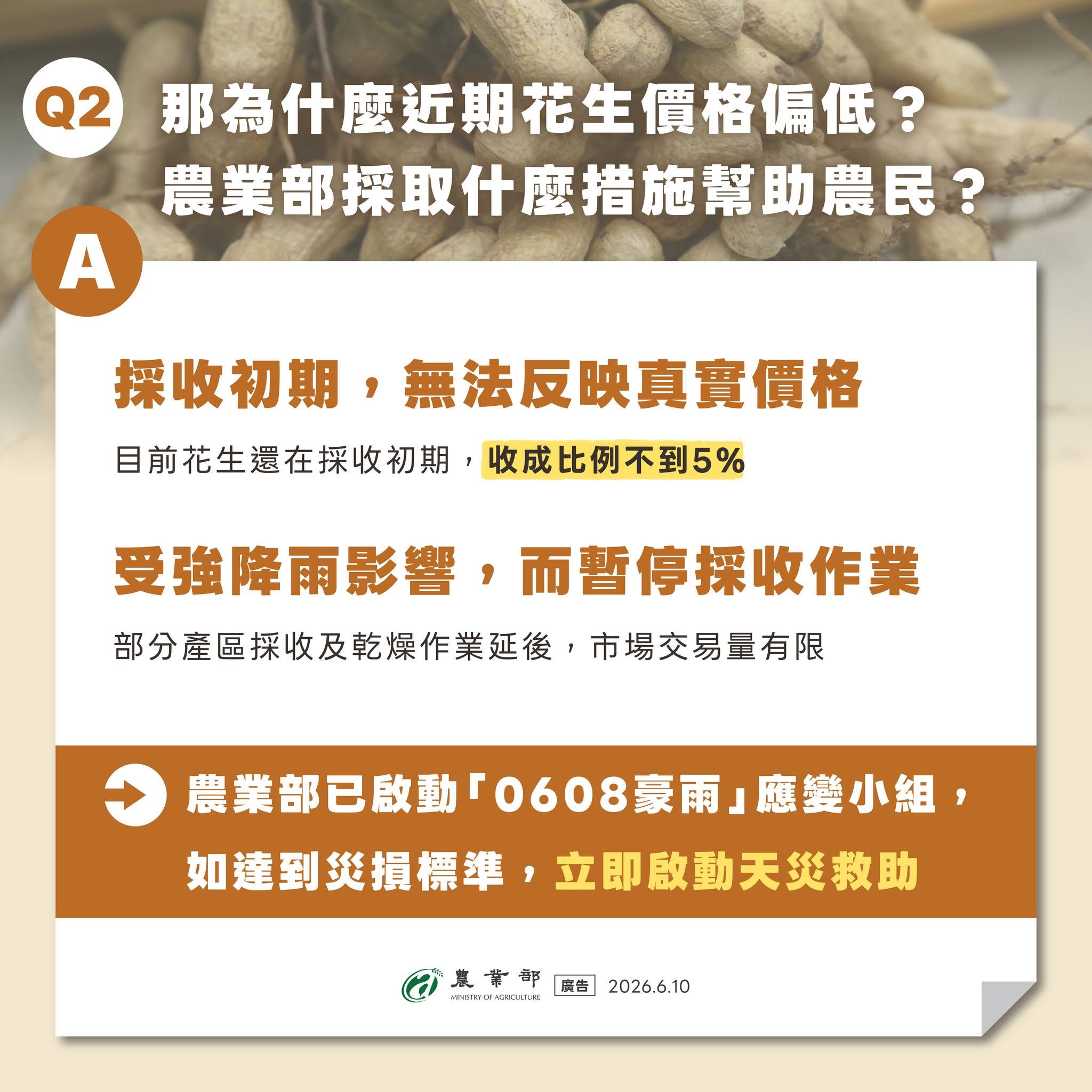 近期國產花生價低是受到美國零關稅花生影響？02