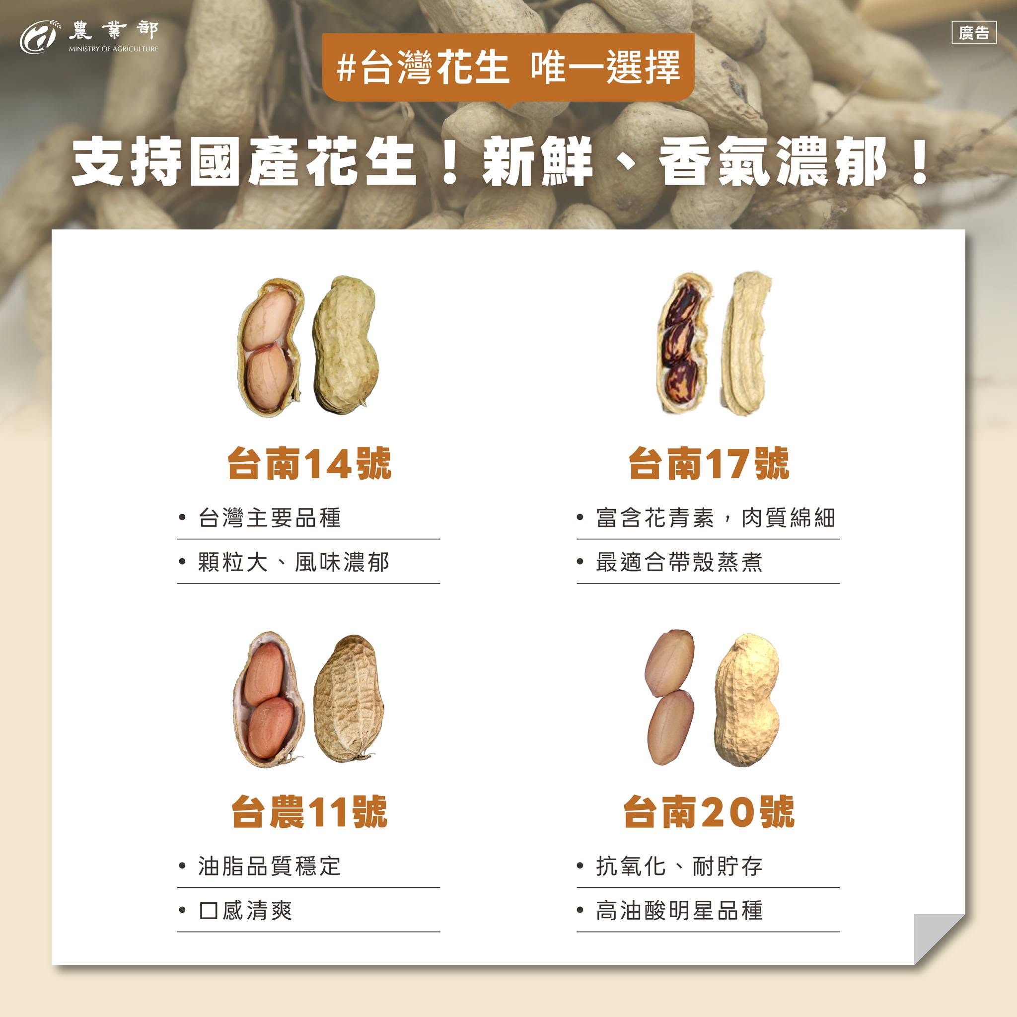 近期國產花生價低是受到美國零關稅花生影響？04
