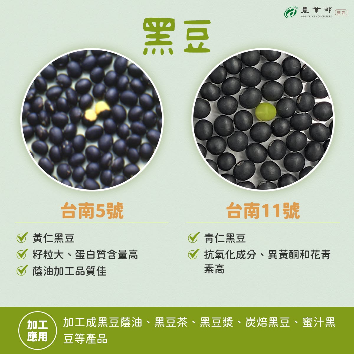 臺灣餐桌上常見的豆製品，像是豆腐、豆漿、醬油、豆干，原料大多來自大豆！03