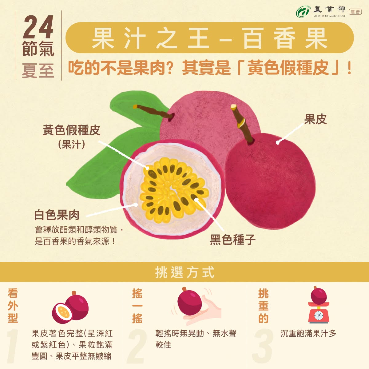 夏至一到，陽光漸盛、暑氣漸濃，正是適合品嘗百香果的季節！