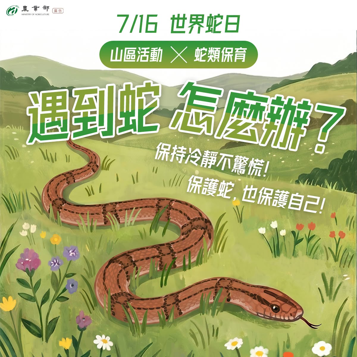 0716世界蛇日