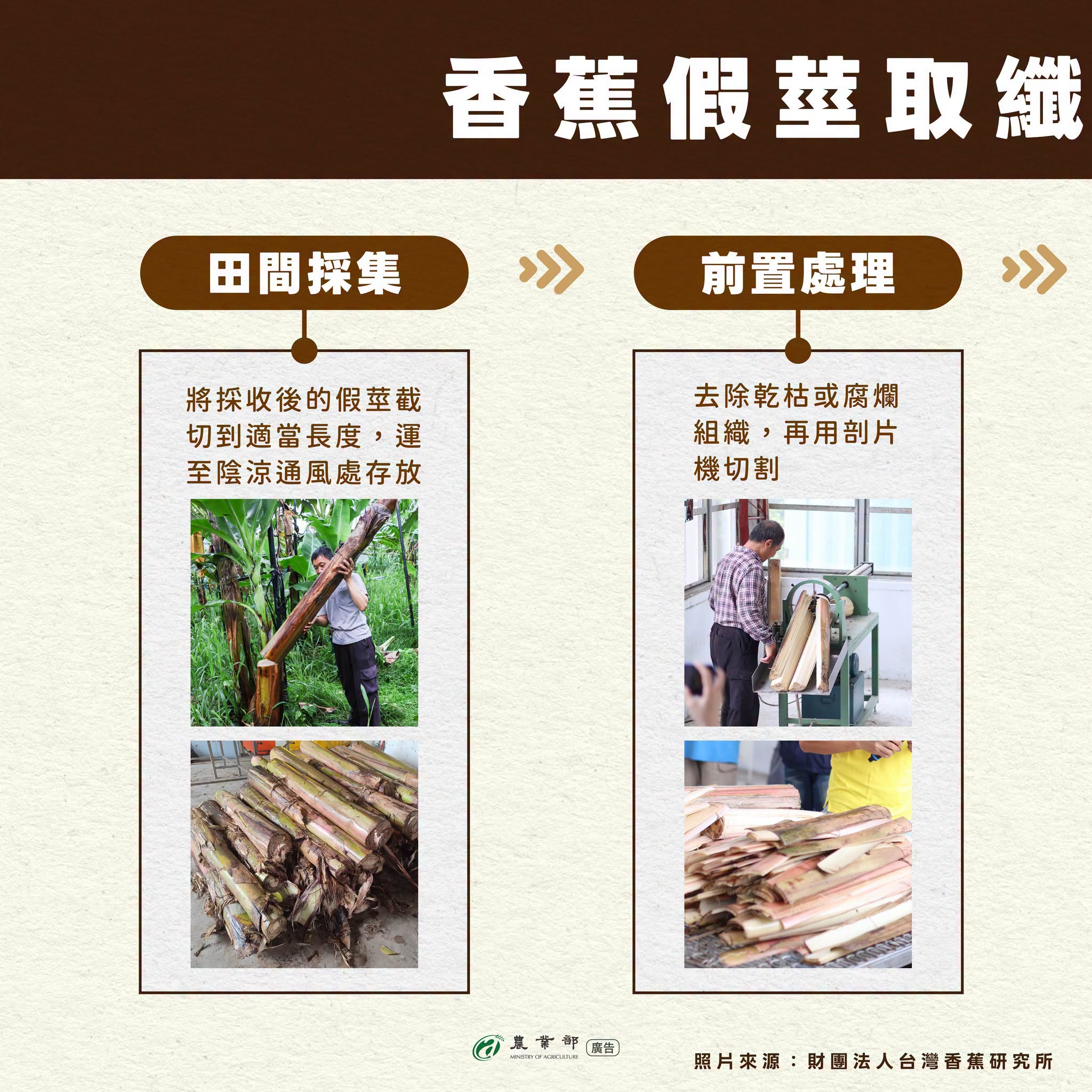 香蕉假莖也能做成衣服？！香蕉假莖取纖技術，讓田間剩材也能變黃金！03