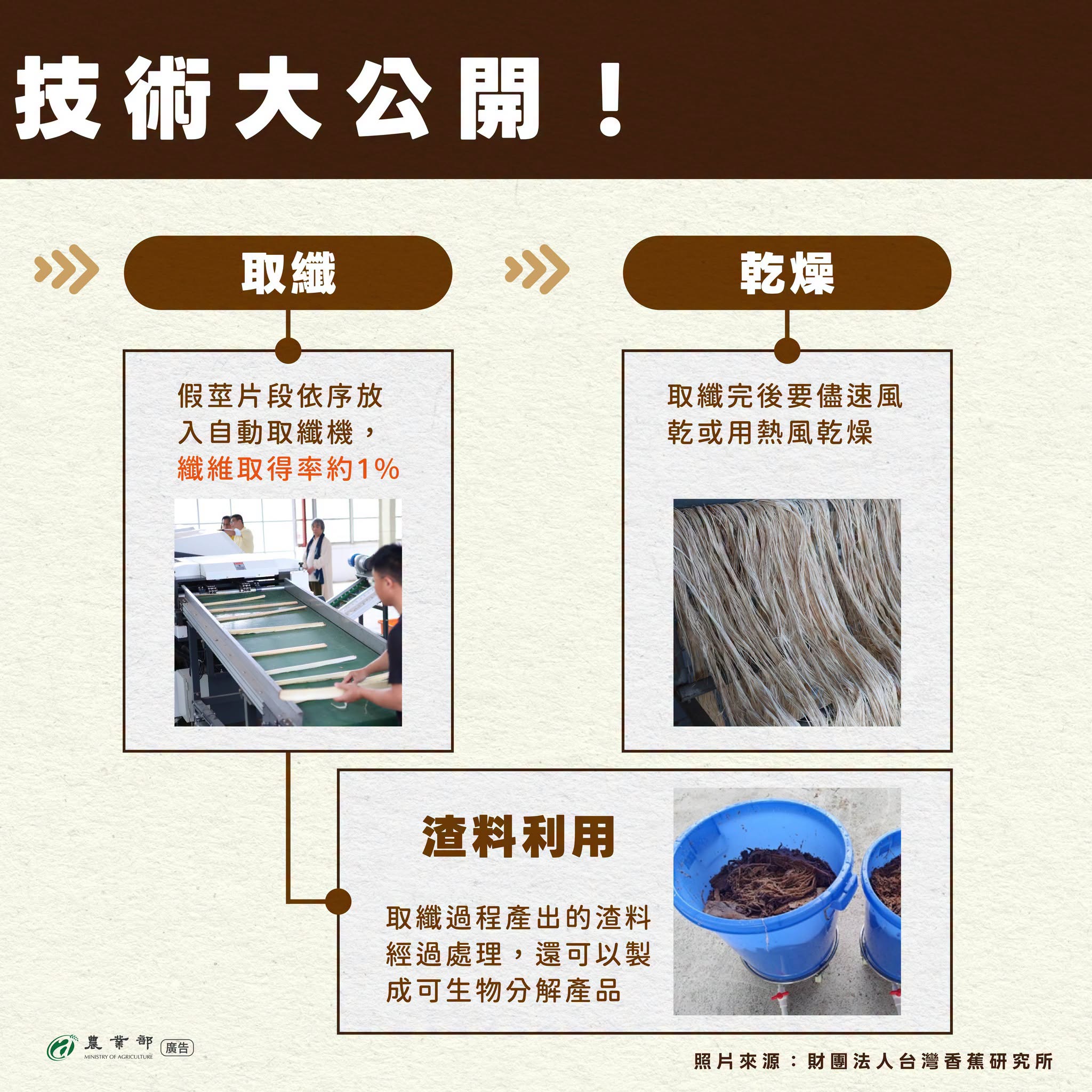 香蕉假莖也能做成衣服？！香蕉假莖取纖技術，讓田間剩材也能變黃金！04