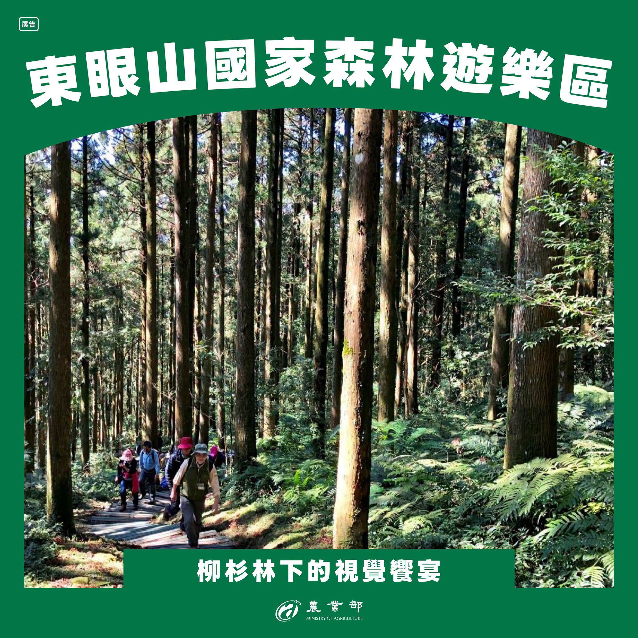 天氣好熱，暑假要去哪裡玩？一起去山林避暑，瀑布、巨木、雲海一次滿足！04