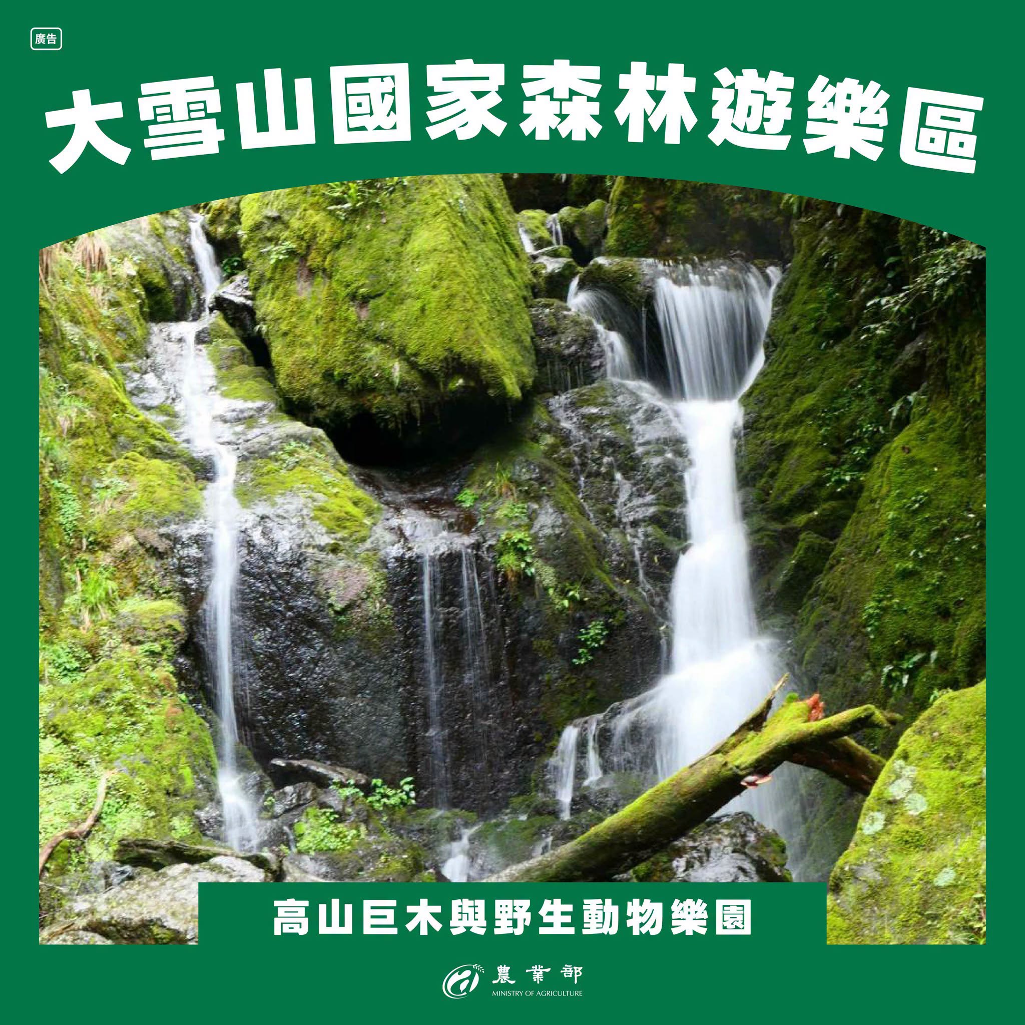 天氣好熱，暑假要去哪裡玩？一起去山林避暑，瀑布、巨木、雲海一次滿足！05