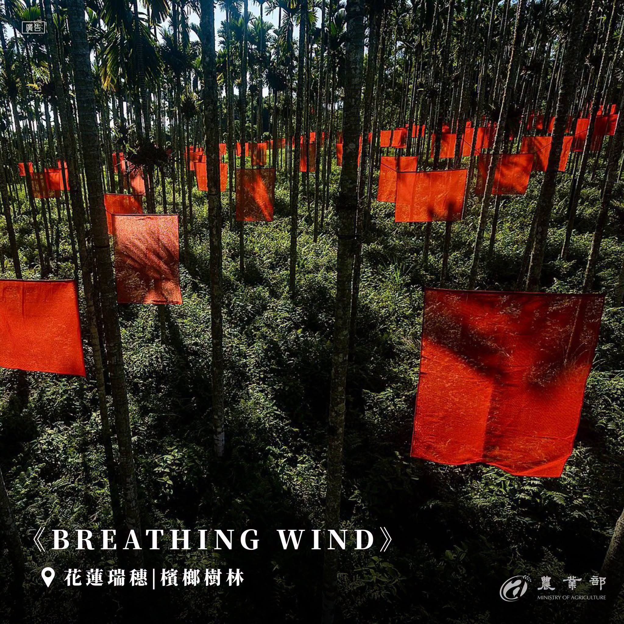 漂鳥197-2026縱谷大地藝術季開展！與土地相遇，收藏一段縱谷的美好記憶03
