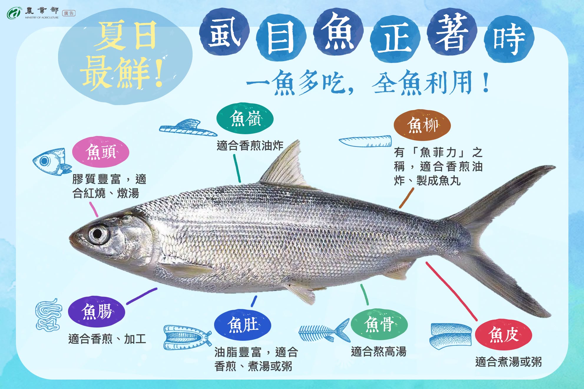 夏日最鮮！虱目魚正著時