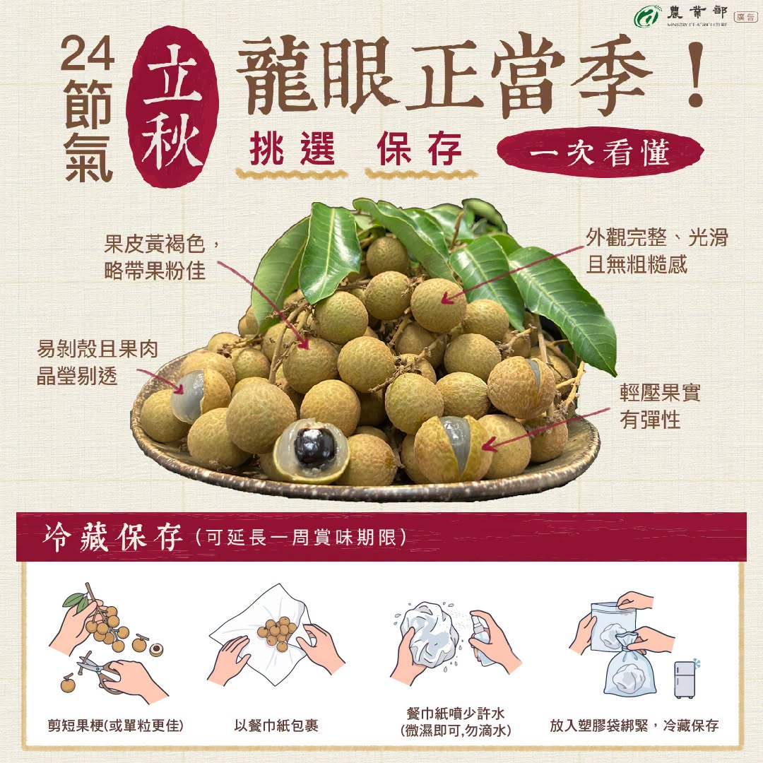 24節氣立秋_龍眼