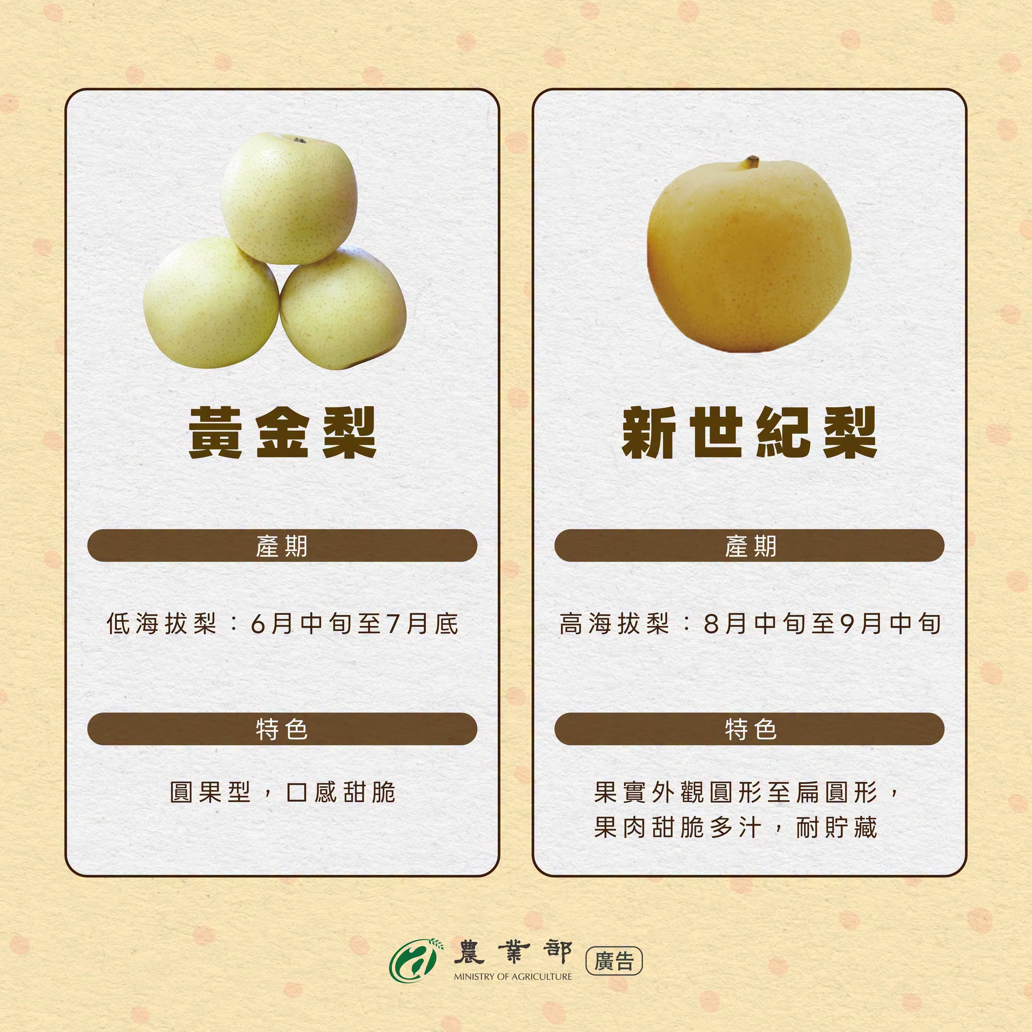 好梨挑選指南2