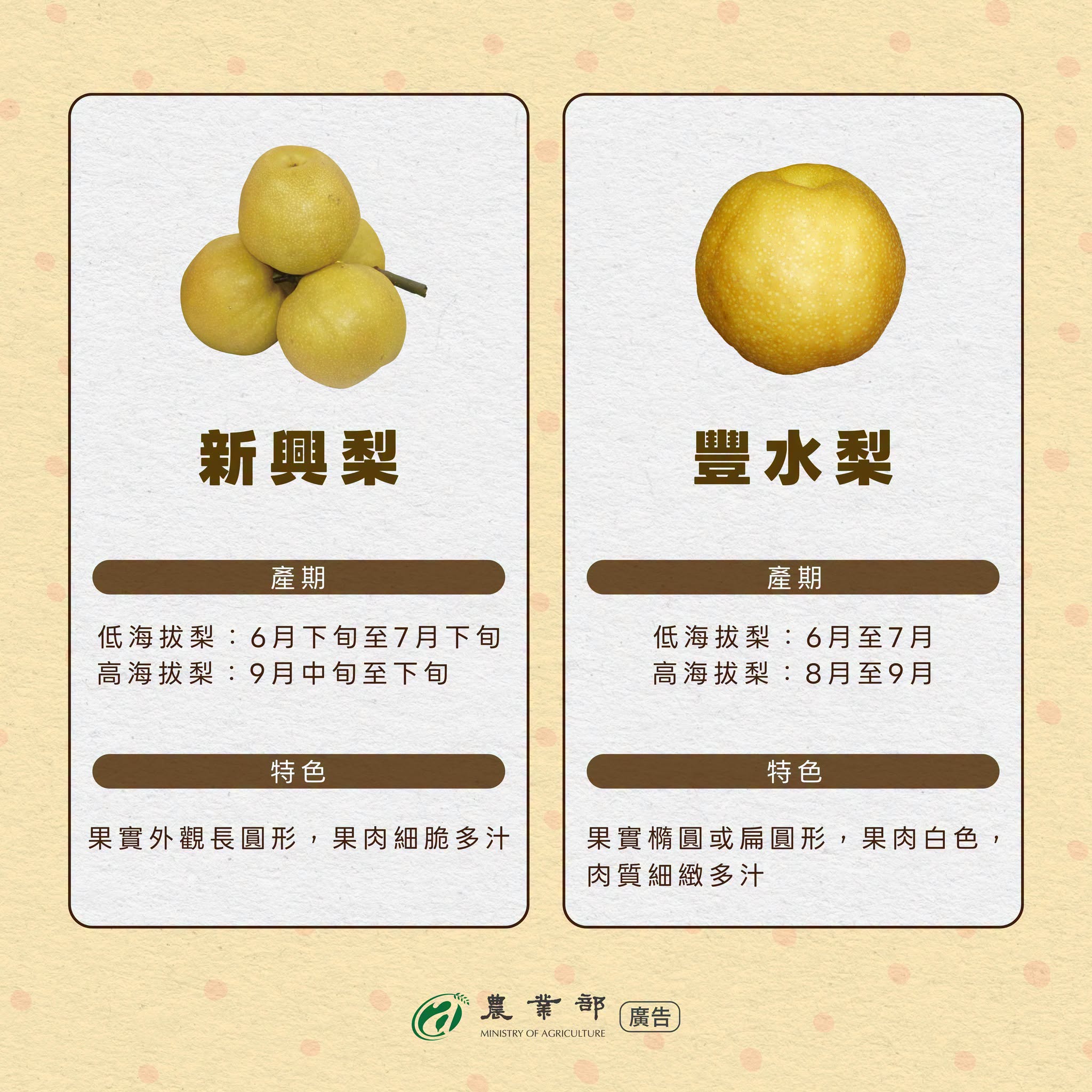 好梨挑選指南3