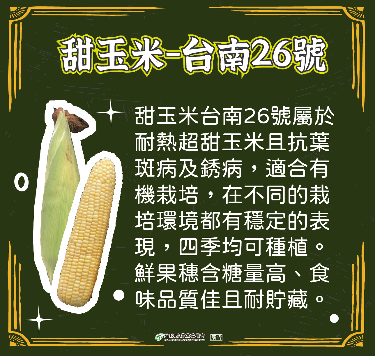 甜玉米-臺南26號