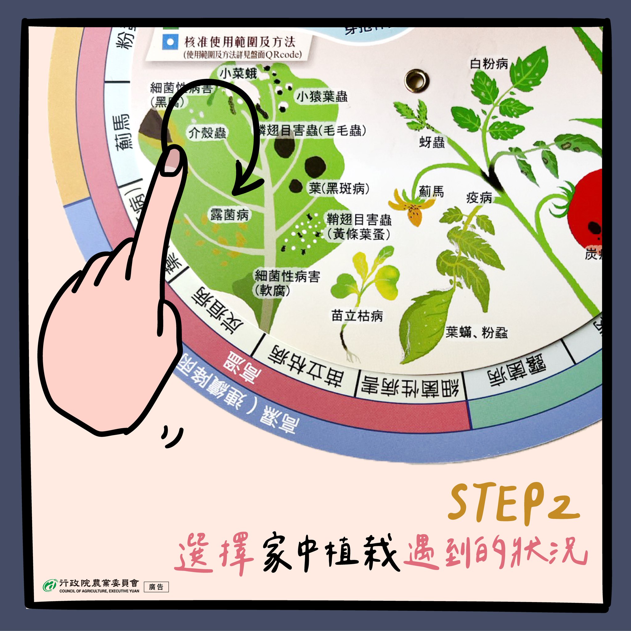 4.步驟2-選擇家中植栽遇到的狀況